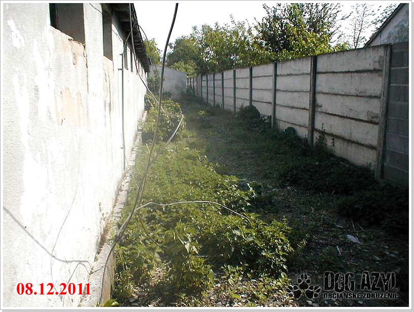 0003_utulok_2011_12_8_5.jpg