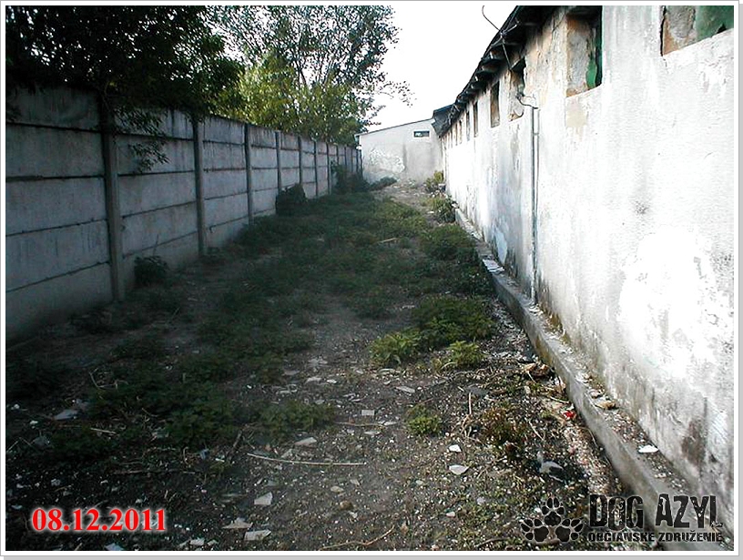 0008_utulok_2011_12_8_15.jpg