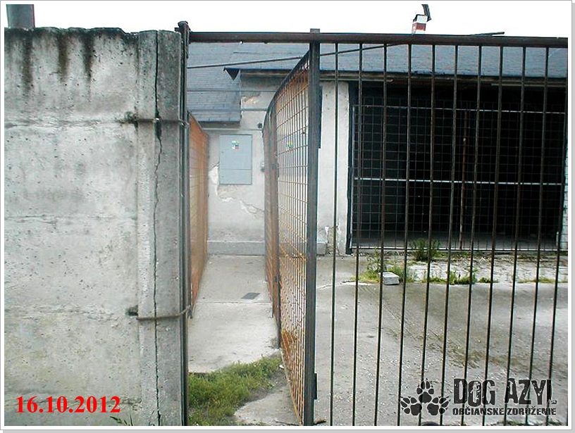 0001_utulok_2012_10_16_7.jpg
