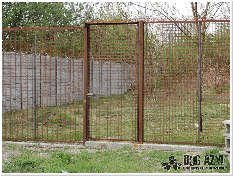 0019_Dog_Azyl_19.jpg