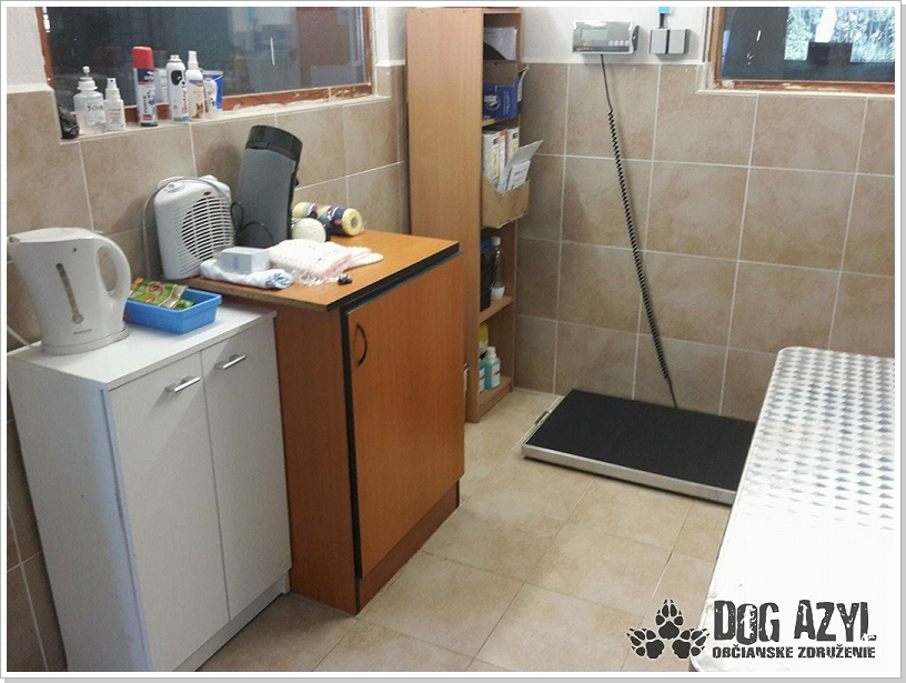 0028_Dog_Azyl_28.jpg