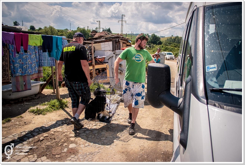 0094_Kastration_Brezno_201698.jpg