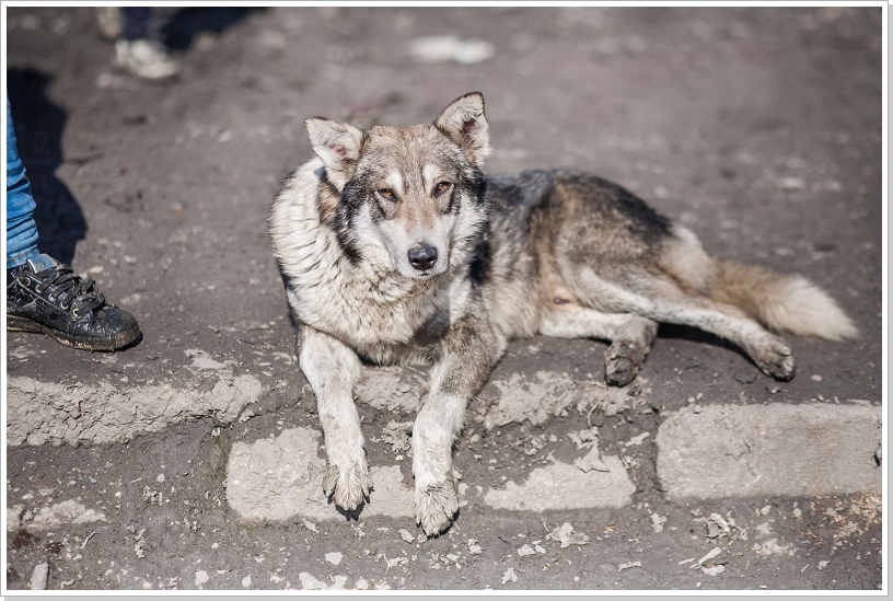 0015_Trebisov15.jpg