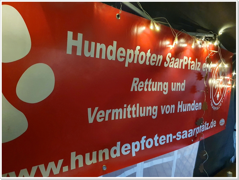 Diashowbild