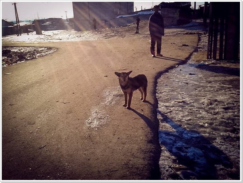 0325_Ekel373.jpg
