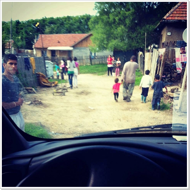0347_Ekel395.jpg